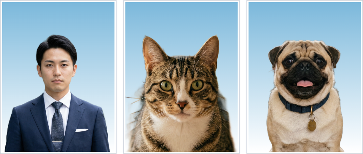 証明写真のサンプル